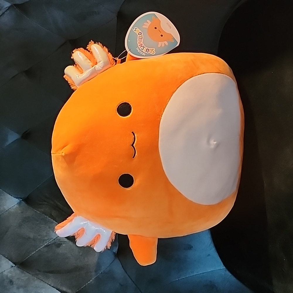 Nico is in great shape.